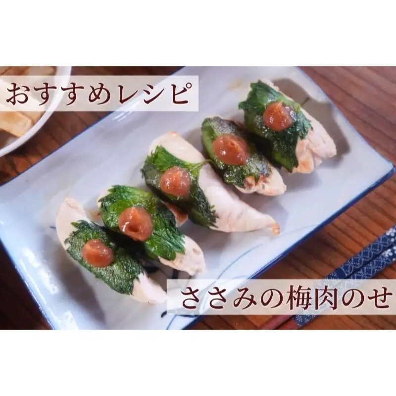 【梅ボーイズ】無添加 紀州南高梅の梅チューブ4本セット（塩・紫蘇）天日塩使用【umehkr020】