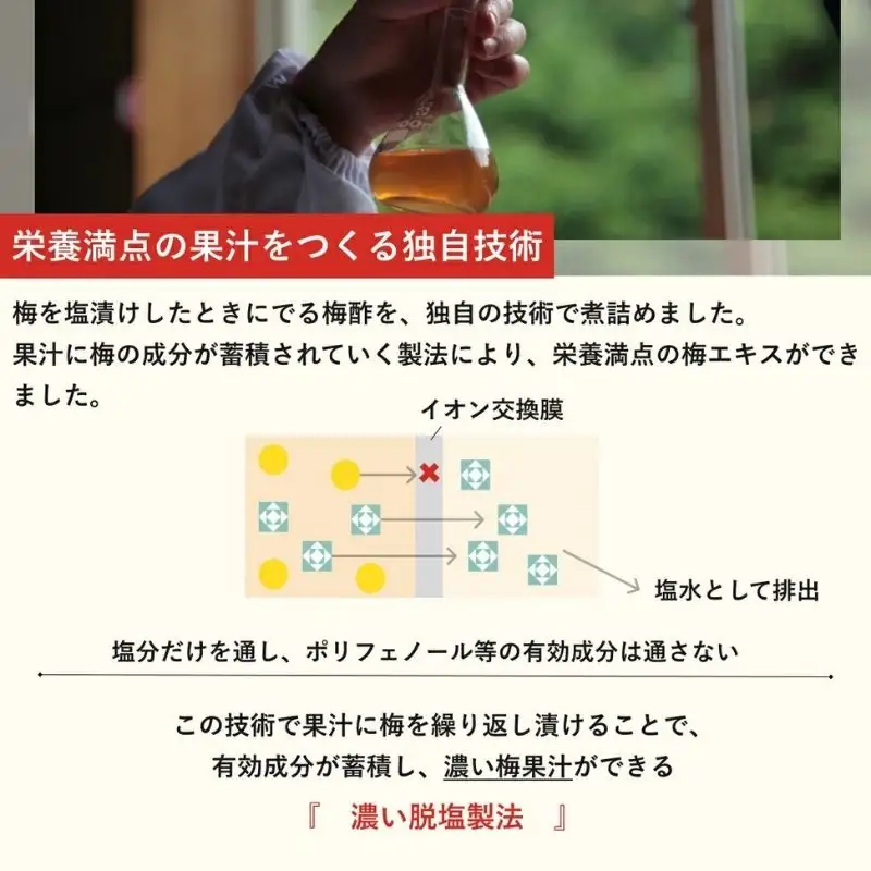 【梅ボーイズ】すっっぱい梅エキス 90g【umehkr026】 
