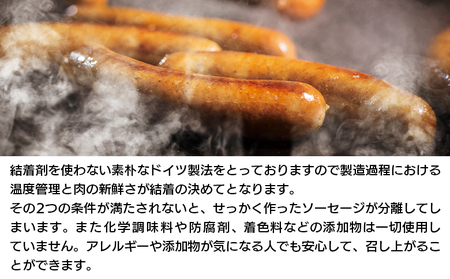 ＜ゆうぼく燻製セット 計5種（3回定期便）＞ ウインナー ベーコン チョリソー ソーセージ しそ ガーリック 荒挽 詰合せ 食べ比べ 豚肉 おつまみ お肉 肉 ギフト 肉加工品 特産品 愛媛県 西予市【冷凍】『2か月以内に第1回目を出荷予定』 UYB0040