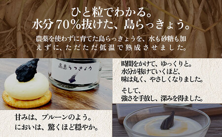 素材をぎゅぎゅっと凝縮セット スイカ糖 70g ＋ 黒島 らっきょう 40g 各一瓶  ソース 島らっきょう 瓶 美味しい 朝食 スイーツ すいか 西瓜 淡路島 洲本市　お届け：2026年8月以降順次発送