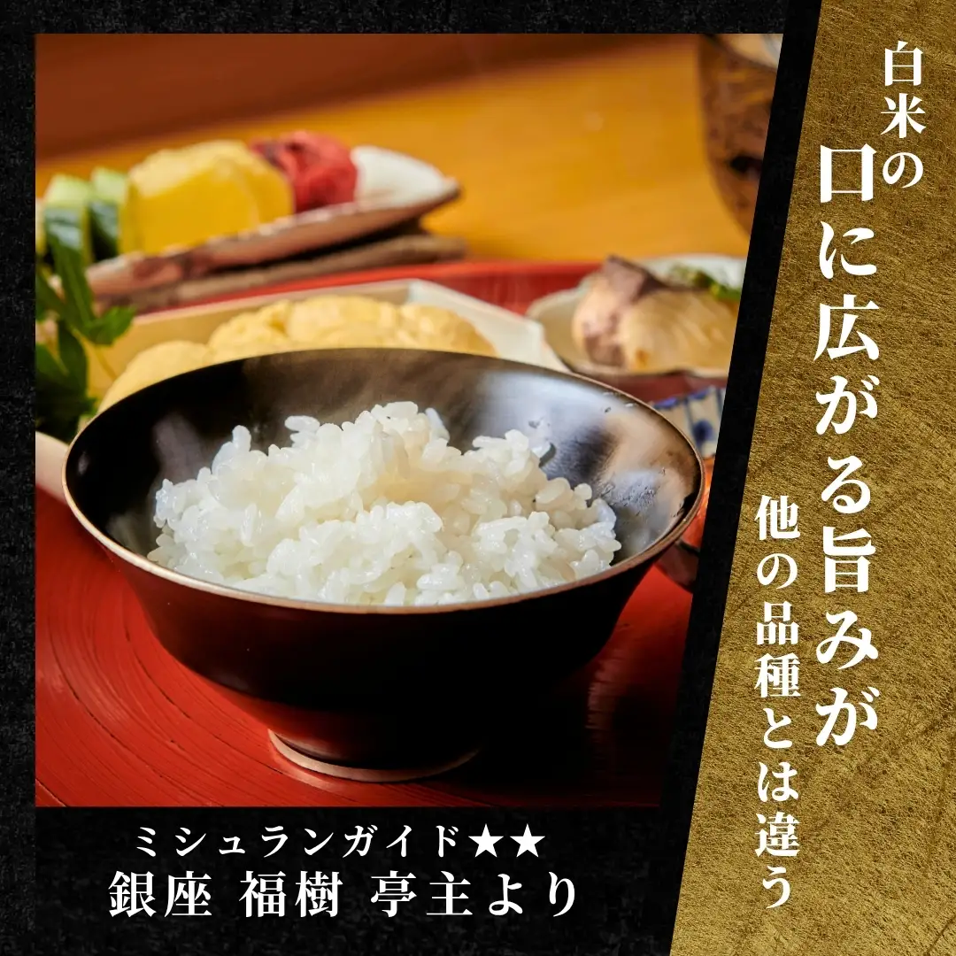 【寄付額見直し】魚沼産コシヒカリ 雪椿 2kg (2キロ×1袋) 特別栽培  | 魚沼 津南町 令和7年