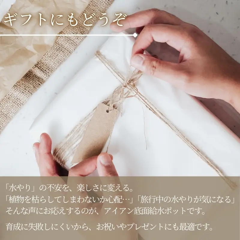 アイアン 底面給水ポット 3号 3.5号 4個セット