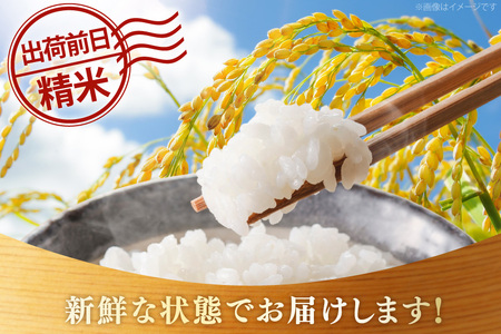 米 精米 夢つくし 5kg 福岡県産  [um40azo780016] 米