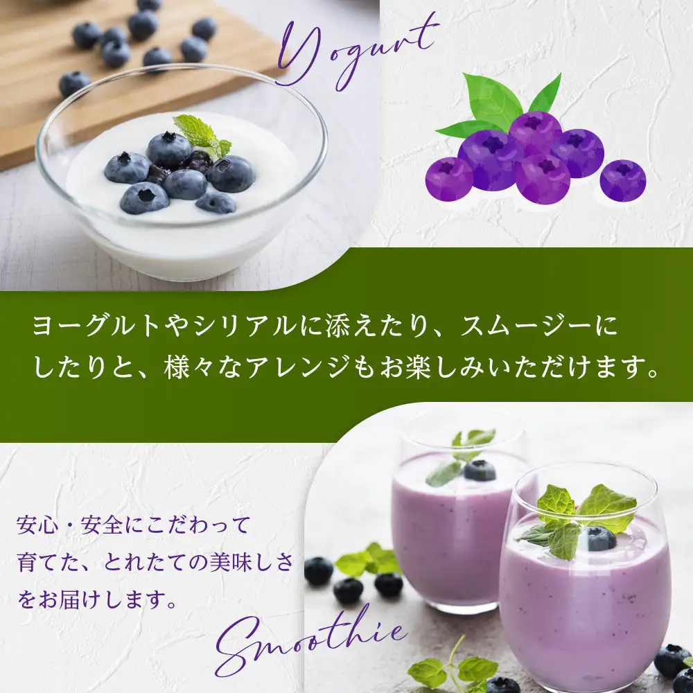 【農薬不使用】 手摘み生ブルーベリー 400g