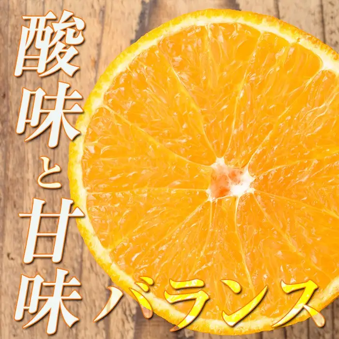 ≪数量・期間限定≫いずみ産 竹ん子山のしらぬひ 約3kg しらぬい 不知火 柑橘 みかん フルーツ 【イーサイドライン】 i1339