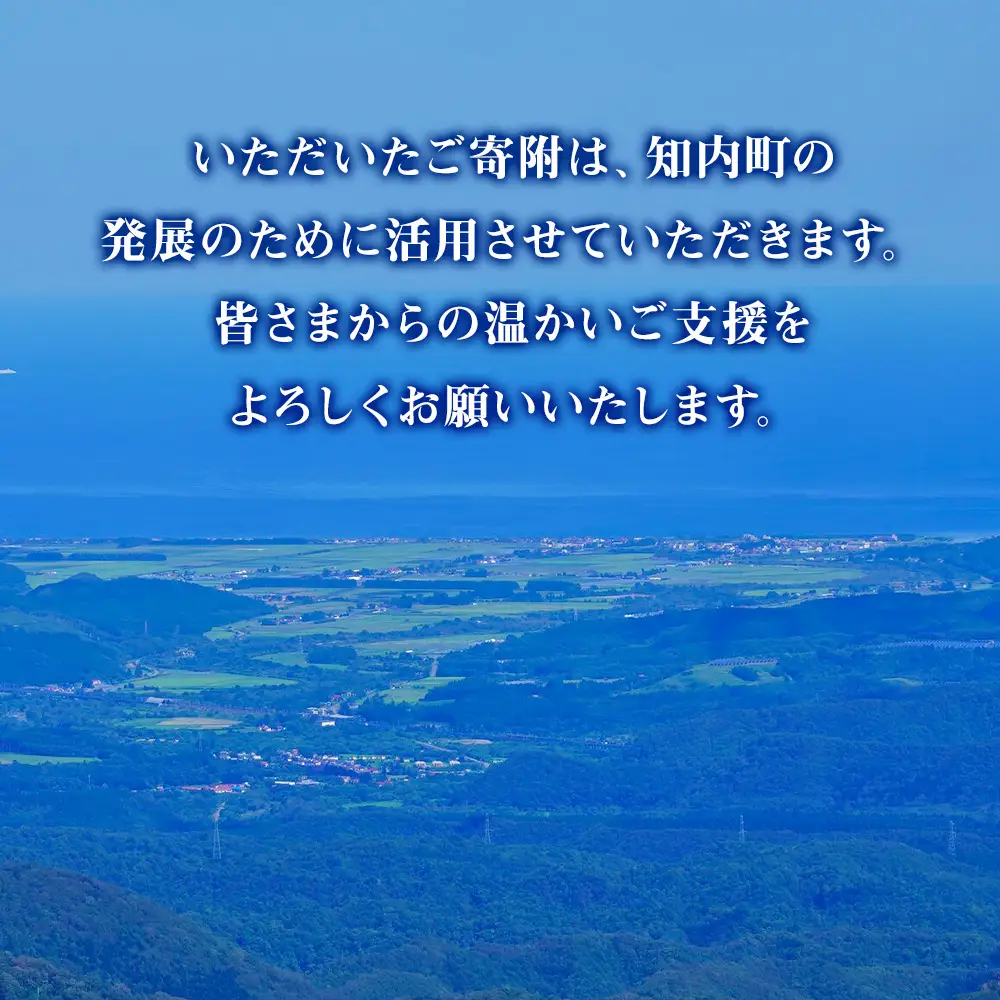 北海道 知内町☆応援寄付金☆【返礼品なし】5,000