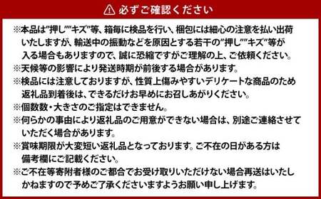 清水白桃 5～6玉（約1.3kg）岡山 清水白桃 桃の女王 高級 贈り物 ギフト 果肉 柔らかい 果汁 早生種【2026年7月下旬～8月上旬迄順次発送予定】