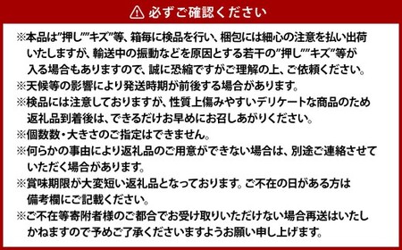 清水白桃（大玉）6～7玉（約2.2kg）岡山 名産品 清水白桃 贈りもの 柔らかい【2026年7月下旬～8月上旬迄順次発送予定】
