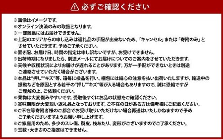 《ご家庭用》 岡山の白桃 （早生種） 5～6玉 （合計約1.3kg） 桃 もも モモ 白桃 くだもの 果物 国産フルーツ 国産 岡山県 倉敷市 【2026年6月下旬～7月下旬迄順次発送予定】