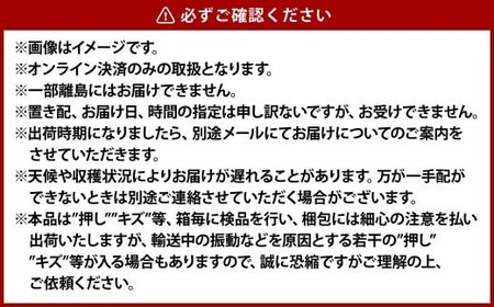 《ご家庭用》ニュー ピオーネ 2～3房（合計約1.2kg）　ブドウ 葡萄 岡山県産 国産 フルーツ 果物 岡山県 倉敷市 　【2026年9月上旬～10月上旬発送予定】