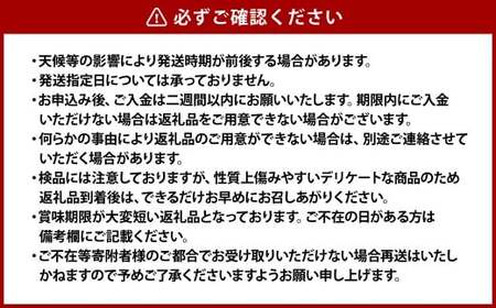 白桃 5玉（合計約1.3kg）果物 デザート スイーツ フルーツ 果肉 美味しい 甘い 柔らかい 上品【2026年7月上旬～7月下旬迄順次発送予定】