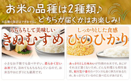 米 野菜 詰め合わせ 季節の野菜 きぬむすめ ひのひかり おまかせ 米3kg+野菜5種 ありがとう園《30日以内に出荷予定(土日祝除く)》岡山県 矢掛町 お米 白米 旬の野菜