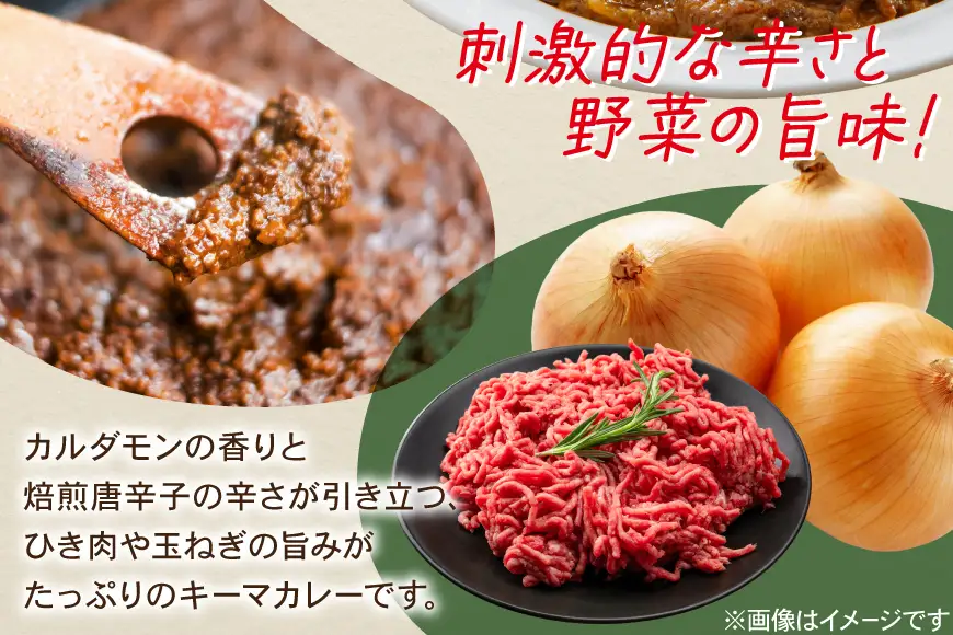 ハウス ジャワカレー キーマカレー 10個 [翔栄通商 愛知県 江南市 ko23btu570019]