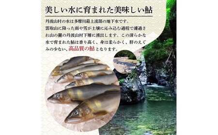 丹波山「鮎めし」 鮎 炊き込みご飯の素 2種 2セット 合計4パック  1パック=2合用 簡単 調理 炊き込み 国産 本格 グルメ 送料無料 ふるさと納税【tab0238-04】