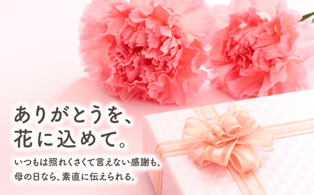 【母の日ギフト】5月6日まで 先行予約 母の日 クレマチス 白万重 5号鉢 ラッピング 福島県 田村市