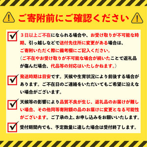 【 数量限定 】 梨 おまかせ 約3kg 【 梨 】