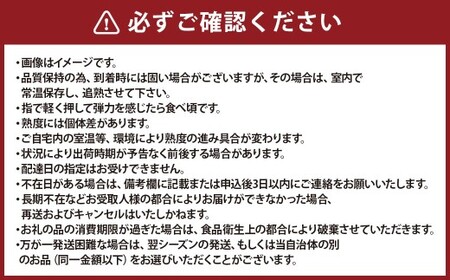 キウイフルーツ ヘイワード 約3.5kg キウイ フルーツ 果物 くだもの ビタミンC 食物繊維 人気 国産 山梨県産 【2026年10月下旬～11月下旬発送予定】