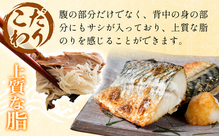 金華 塩サバ 1.9kg ( 240g × 8p ) 金華さば サバ  塩鯖 金華鯖 金華サバ さば 鯖 塩さば 魚 魚介 魚介類 海鮮 冷凍 宮城県 宮城 石巻市 石巻