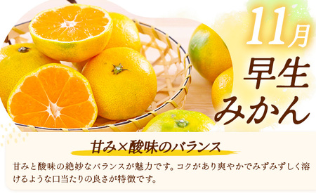 【3ヶ月定期便】みかん 定期便 秀品 温州みかん ペシャル 計30kg 日本フルーツ株式会社《10月上旬-12月末頃出荷》熊本県 長洲町 ミカン 蜜柑 柑橘類 極早生 早生 中生 果物 フルーツ