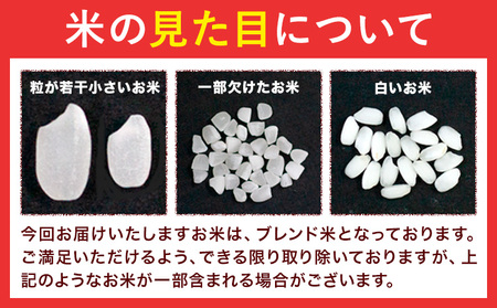 米 10kg お米 紀の川応援米 白米 10キロ 