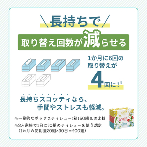 定期便 ティッシュ スコッティ フラワーボックス 3箱 × 2 パック《 4ヶ月ごと計 3回 》ティッシュセット