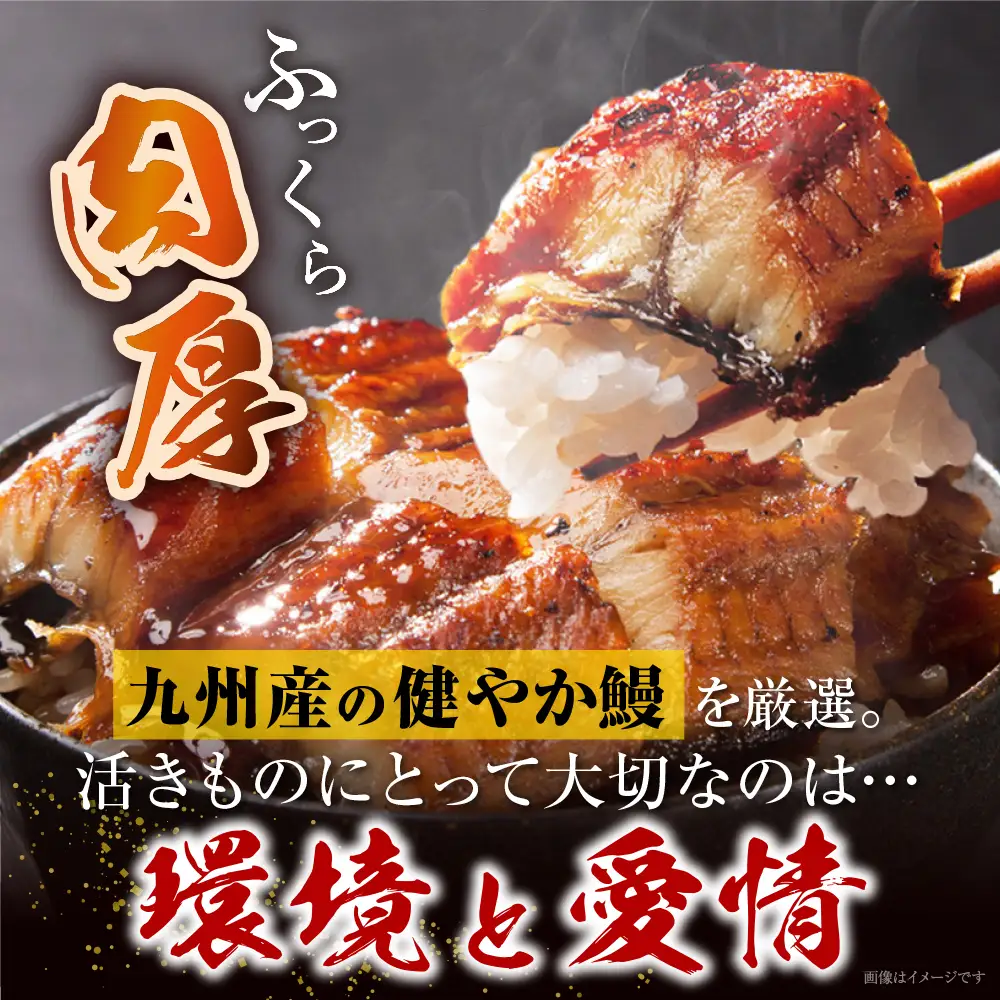 Y61-172R02  【父の日ギフト】健やか鰻 国産うなぎ蒲焼（無頭）4尾（計620g以上） うなぎ