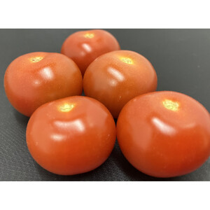 訳ありミニトマト　約3kg