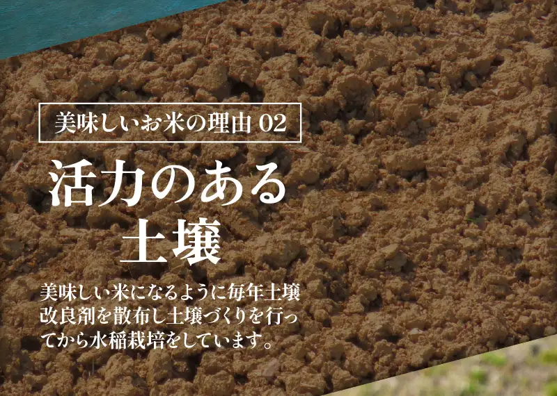 【先行予約】【令和8年産 新米】 エコ栽培ハナエチゼン　玄米5kg ／ 鮮度抜群 福井県産 はなえちぜん ご飯 新鮮 玄米 ※2026年9月上旬以降順次発送予定 [aw063-a015]