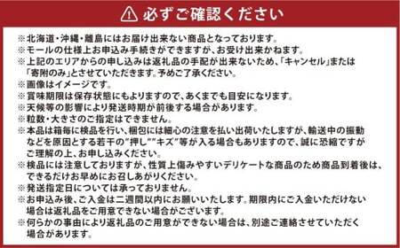 [HS]シャインマスカット 晴王 2房 約1.2kg【2026年9月上旬～10月下旬発送予定】マスカット 葡萄 ぶどう ブドウ フルーツ 果物 くだもの デザート 冷蔵 岡山県 倉敷市