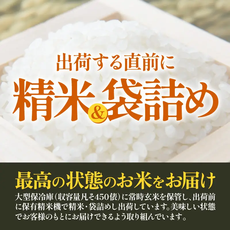 【先行予約】【令和8年産 新米】 エコ栽培ハナエチゼン  白米5kg×6回 計30kg ／ 鮮度抜群 福井県産 はなえちぜん ご飯 新鮮 白米 ※2026年9月上旬以降順次発送予定 [aw063-f007]