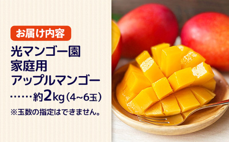 【先行受付】【2026年発送】光マンゴー園の家庭用アップルマンゴー約2kg（4～6玉）白箱 - ご自宅用 先行予約 沖縄県産 産地直送 南国フルーツ 旬の味覚 オススメ 沖縄県 八重瀬町