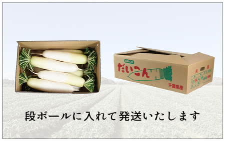 大根 8本 銚子産 【11月~6月上旬頃発送】 大根