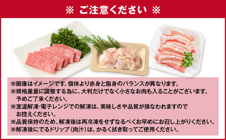 【 A5和牛 ・ 豚 ・ ホルモン 】焼肉セット900g K002-055 豚肉 豚バラ 牛肉 黒毛和牛