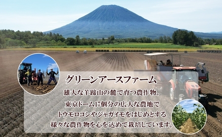 【 2026年 出荷 】 北海道 倶知安町産 ネバリスター 計5kg 北海道産 芋 ながいも 長芋 とろろ 新鮮 フレッシュ 野菜 農作物 産直 山芋 大和芋 イチョウ芋 麦とろ 山かけ おつまみ グリーンアースファーム