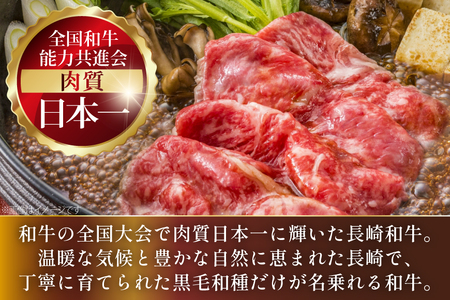 AJ551 【6回定期便】長崎和牛 リブロース スライス 約1kg (500g×2P)   [ まるしん商会 長崎県 島原市 ]