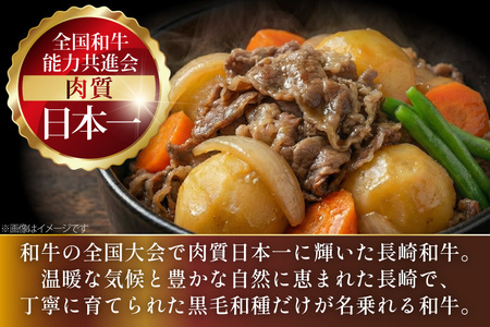 AJ578 【6回定期便】長崎和牛 切り落とし (もも・バラ) 約1kg (500g×2P)   [ まるしん商会 長崎県 島原市 ]
