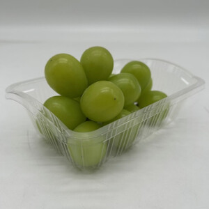 岡山県産 フルーツ定期便全6回＜お一人様向け＞