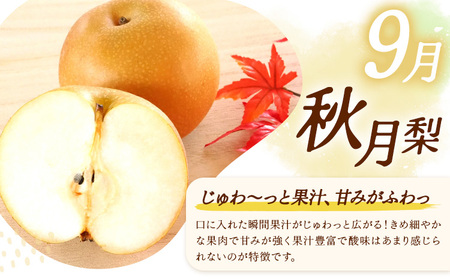 秀品 3ヶ月連続 梨の定期便 リッチ 計9kg 日本フルーツ株式会社《8月上旬-10月末頃出荷》熊本県 荒尾市  梨 なし 豊水梨 秋月梨 新高梨 果物 フルーツ 定期便