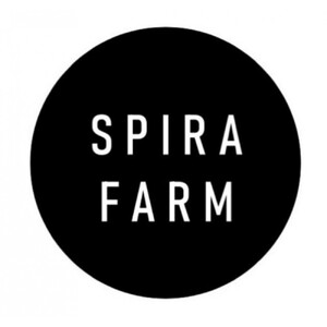 【SPIRA FARM】季節の野菜セット10～12品目入り《農薬・化学肥料は畑での栽培期間中不使用》出雲の自然の恵みを畑からお届け！［出雲 季節の野菜 野菜セット おまかせ 詰め合わせ  新鮮野菜 送料無料 ふるさと納税］