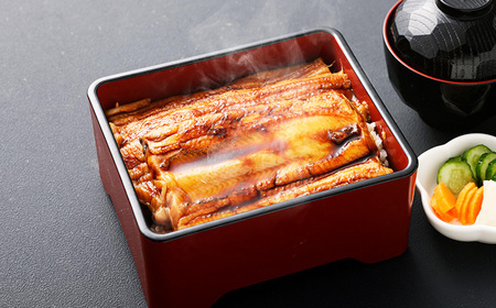 飯田商店 国産活〆 プレミアム 煮穴子 500g（ 250g×2袋 ）  タレ（50g）付 魚介 魚介類 鮮魚 海鮮 魚 お魚 煮込み あなご 穴子 煮穴子 おかず 惣菜 