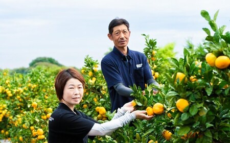 【数量限定】中尾農園の夢みるみかん じゃばら ストレート 果汁 150ml × 5本セット （計750ml） 【7営業日以内発送】 柑橘系 柑橘類 みかん ミカン 蜜柑 ジャバラ くだもの 果物 飲料 フルーツ 国産 佐賀県 太良町 N282x1