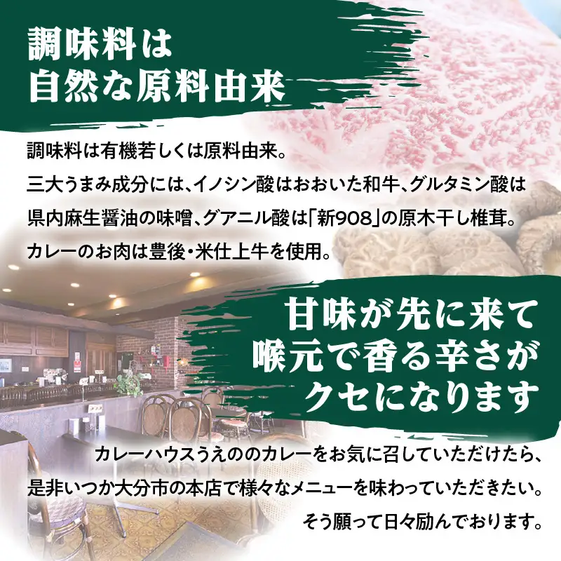 九州クラフト うえの焙煎ビーフカレー 冷蔵 5袋 K03041
