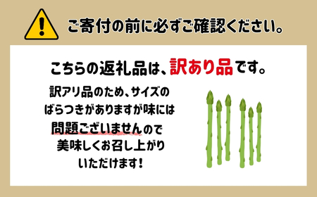 アスパラガス 1kg (訳アリ) 野菜 訳あり アスパラ | 石川県 小松市 本田農園