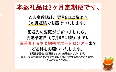 3カ月定期便 ふかうら 人参 ジュース 195g 30本  [fu-0009-003]