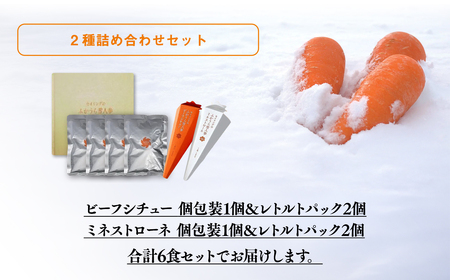 雪人参ビーフシチュー 雪人参ミネストローネ レトルトパック 各3個  [fu-0001-003]