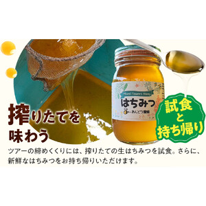 1282.【要予約 大人1名様用】あんどう養蜂 まるごと養蜂体験（約3時間）はちみつ600g付き