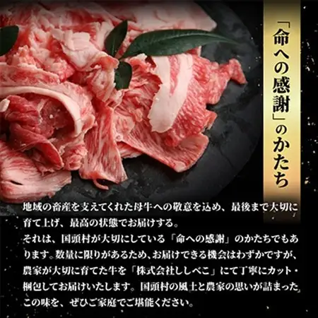 やんばるの自然が育んだ「黒毛和牛 経産牛」切り落とし 500g×1パック【配送不可地域：離島】【1716770】