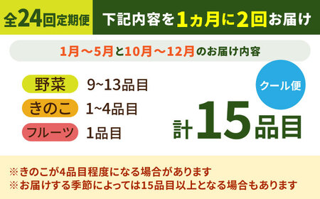【24回定期便】野菜定期便15品目以上 [SCZ003]