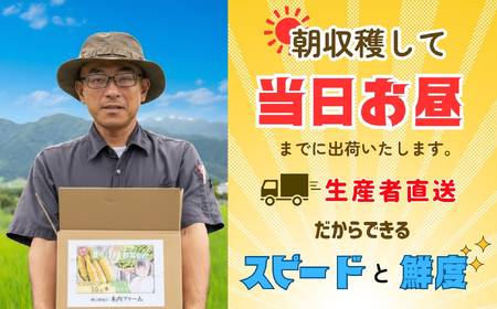 とうもろこし（恵味）・枝豆セット《2026年7月上旬頃より出荷予定》木内ファーム_とうもろこし Ca-006
