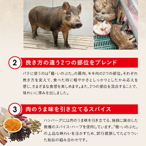 ブランド豚100％煮込みハンバーグ　220ｇ×5個 [H2091]